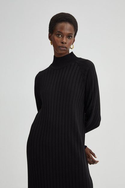 TURTLE NECK RIBBED KNIT DRESS